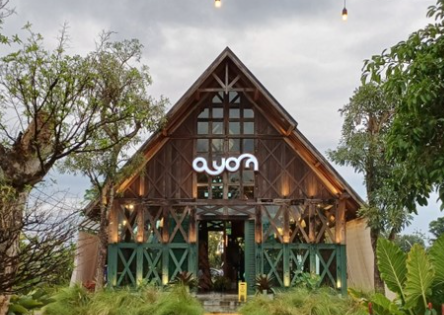 Tempat Makan Hits di Yogyakarta yang Instagramable
